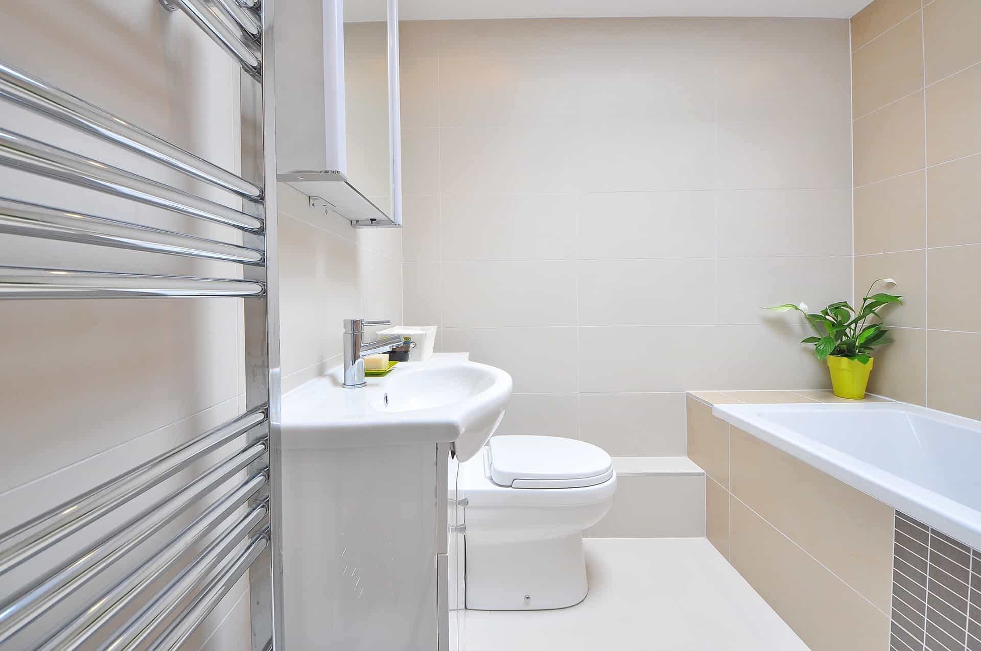 Best Bidet Attachment