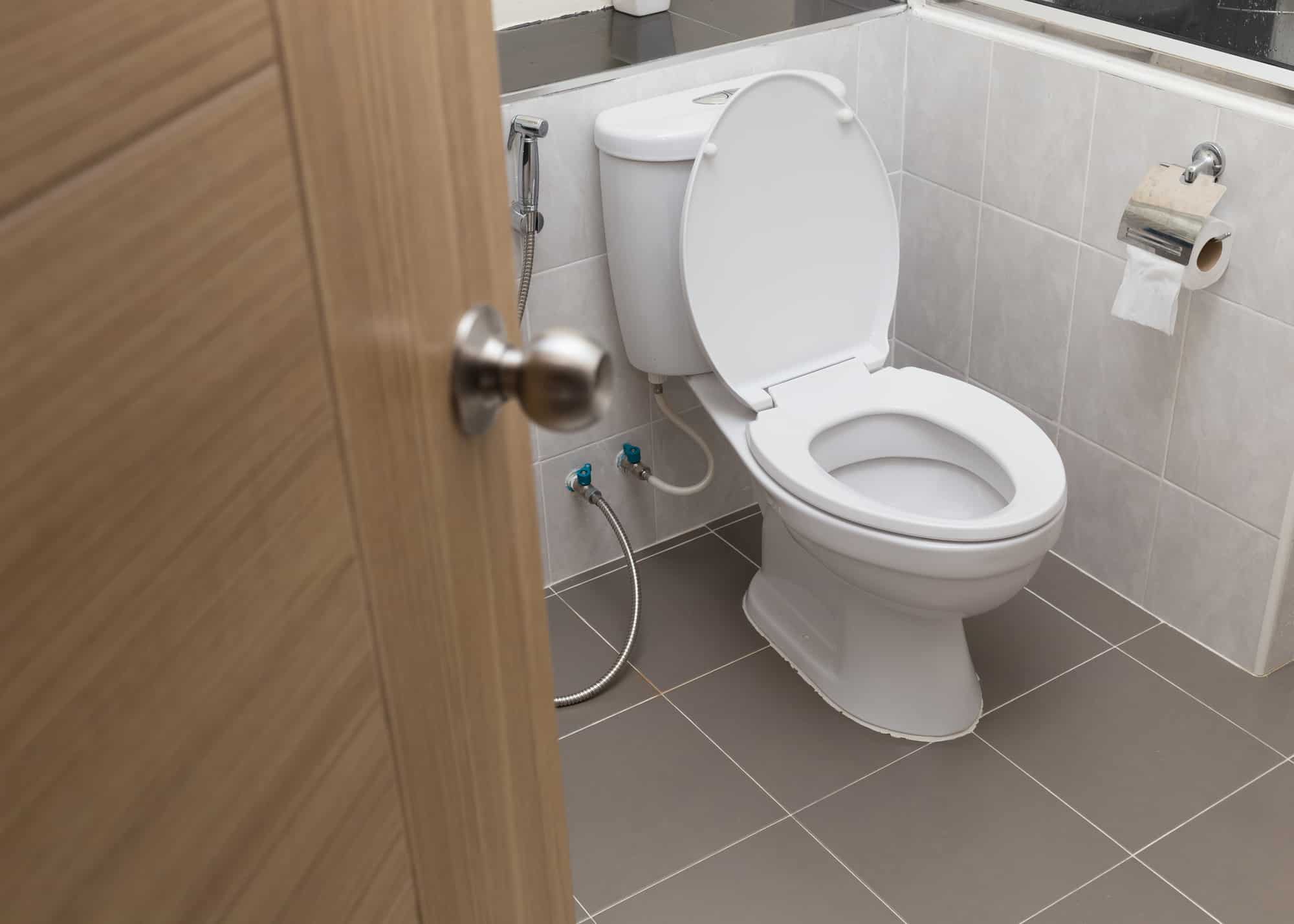 Choosing The Best Toilet To Buy? 1 Best Toilet