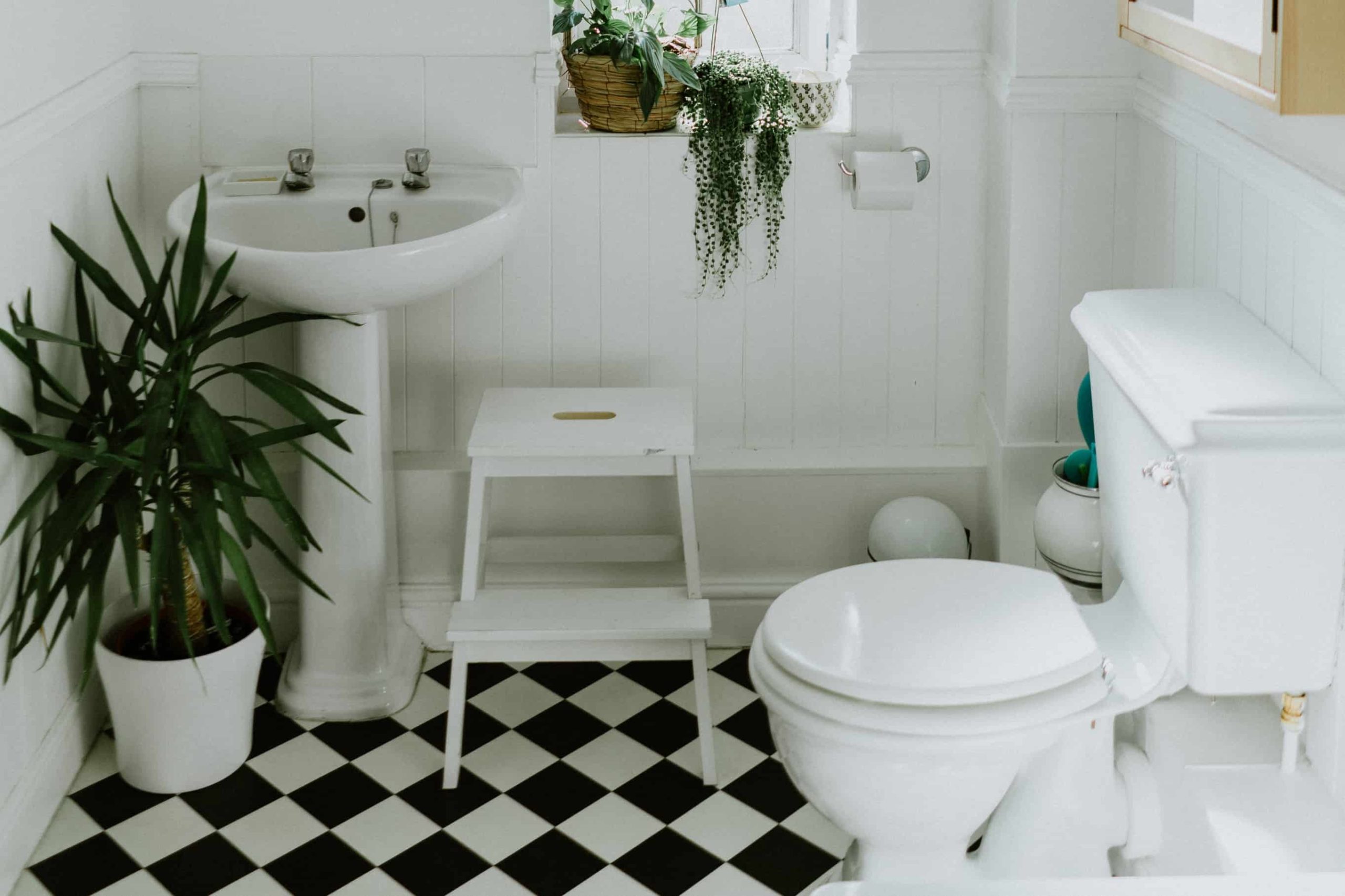 Best Two Piece Toilet