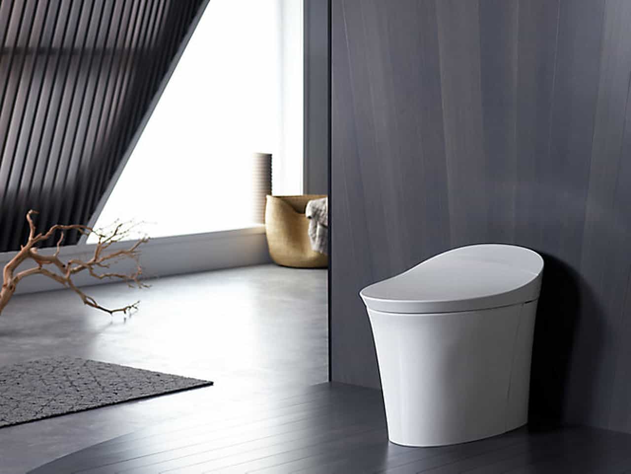 Best Smart Toilet: Intelligence For Your Bathroom 1 Smart Toilet